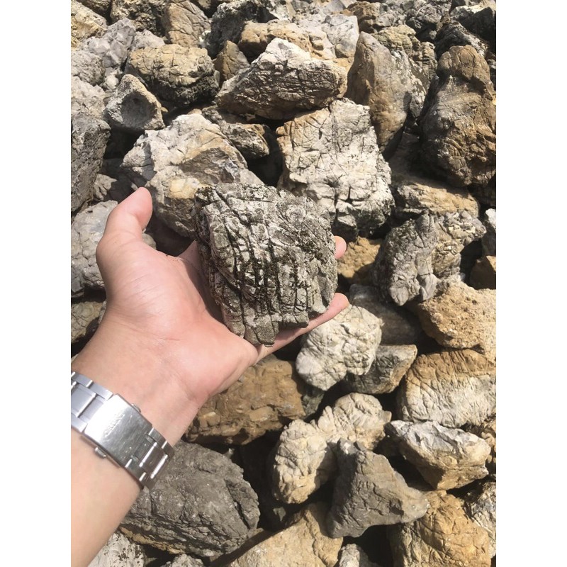 ĐÁ DA VOI 1 KG - ĐÁ THUỶ SINH LÀM BỐ CỤC IWAGUMI BIOTOP NÚI ĐÁ