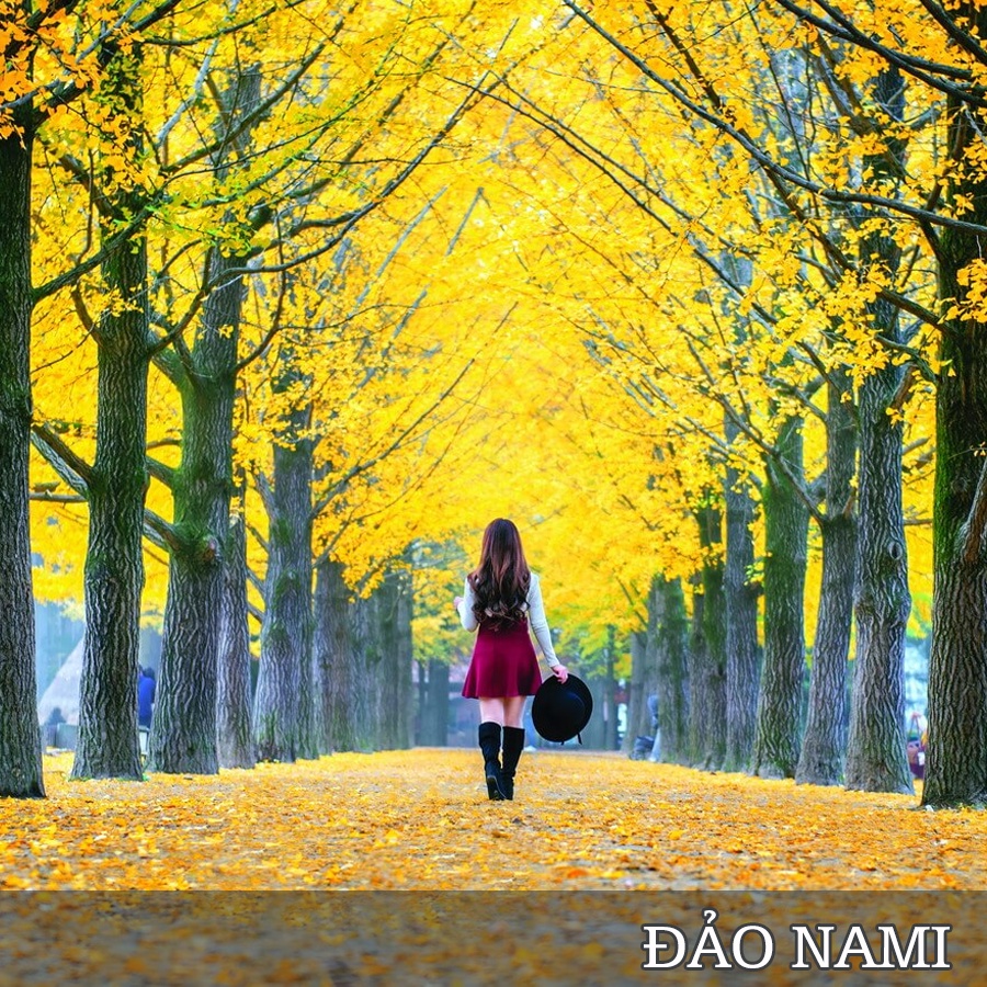 TOUR DU LỊCH HÀN QUỐC (5N4Đ): SEOUL – NAMI – EVERLAND