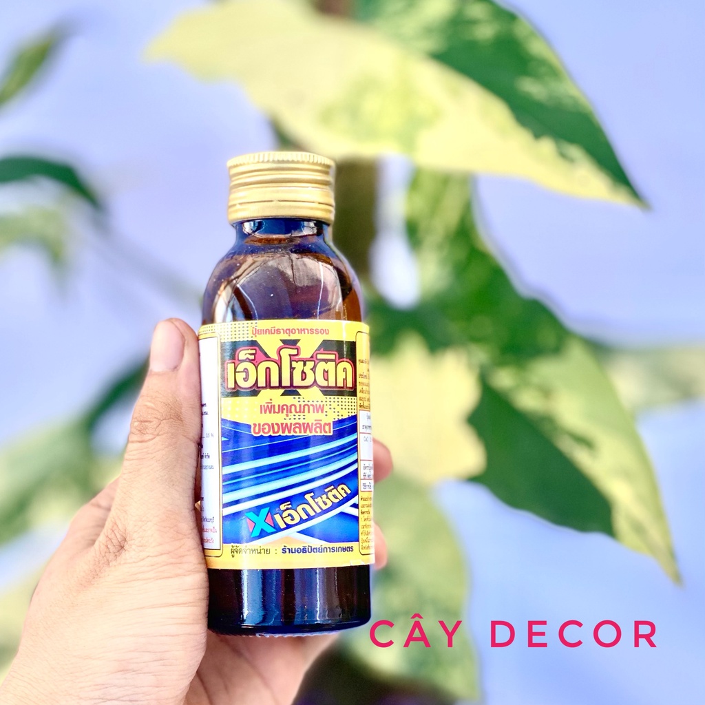 [Mã LIFEXANH03 giảm 10% đơn 500K] Kích rễ Exotic Thái [HÀNG TỐT] chai 100ml