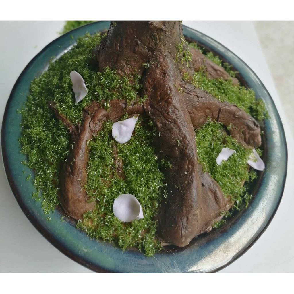 Rêu giả loại 1