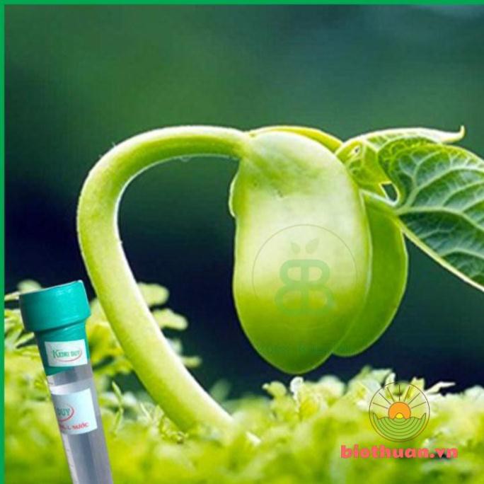 thuốc kích mầm, kích chồi keiki duy DẠNG PHUN SPRAY