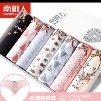 Set quần chip 7 cái