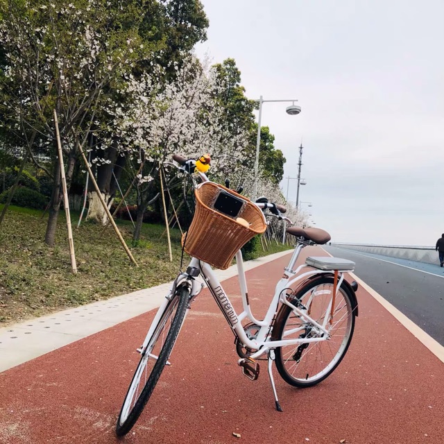 Xe đạp momentum 2019