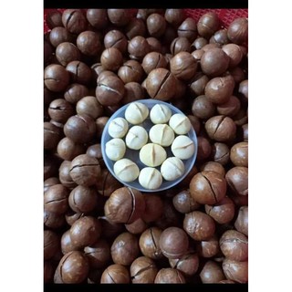 500G Hạt macca Daklak siêu ngon