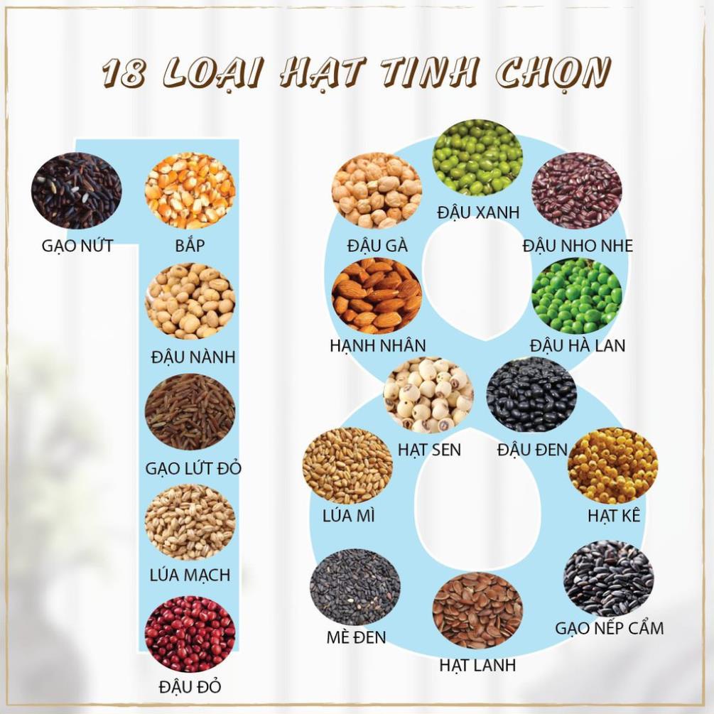 XPOWER SỮA HẠT DINH DƯỠNG