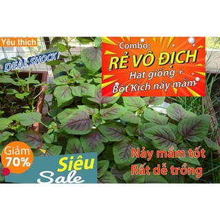 [Combo rẻ vô địch HẠT GIỐNG + GÓI HỖ TRỢ  NẢY MẦM] - 300 hạt - HẠT GIỐNG RAU DỀN