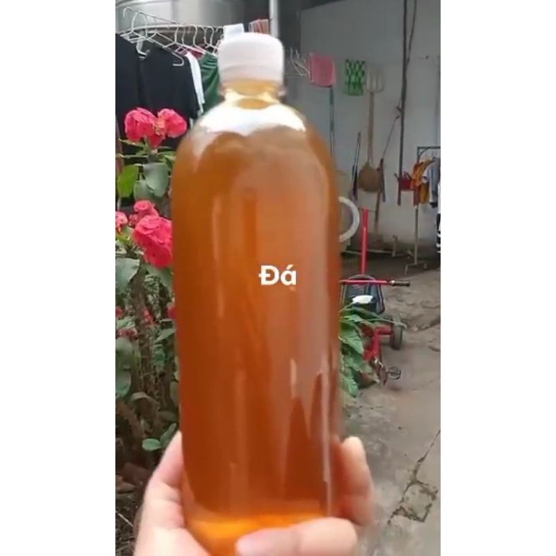 MẬT ONG ĐÁ RỪNG TÂY BẮC CHUẨN 1LÍT