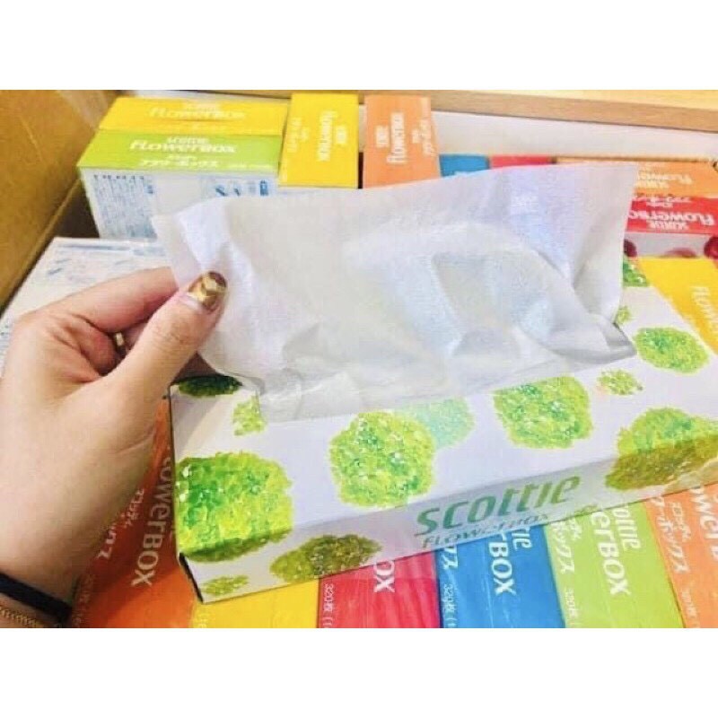 Giấy ăn Scottie set 5