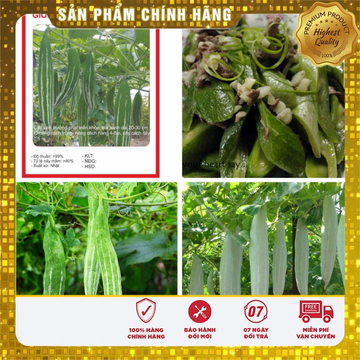 Hạt Giống Lặc Lày (Mướp Nhật) 2gr [Bán Sỉ]