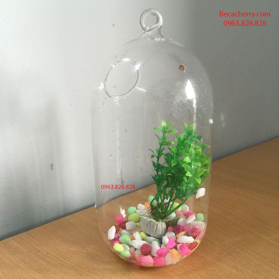 _Bình thủy tinh treo dưa cỡ to  20x10cm không kèm giá treo