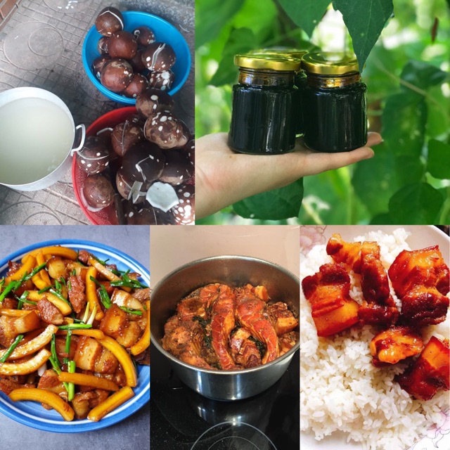 Nước màu dừa handamde mẹ Sâm