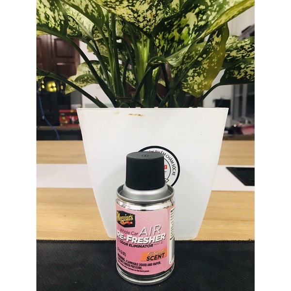 MEGUIAR’S – KHỬ MÙI ĐIỀU HÒA Ô TÔ – HƯƠNG FIJI – G201502