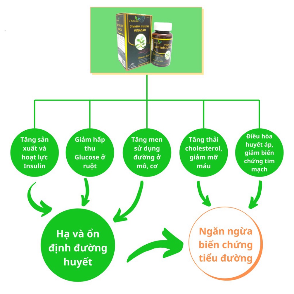 Viên Dây thìa canh Vinacao tốt cho người tiểu đường hộp 60 viên