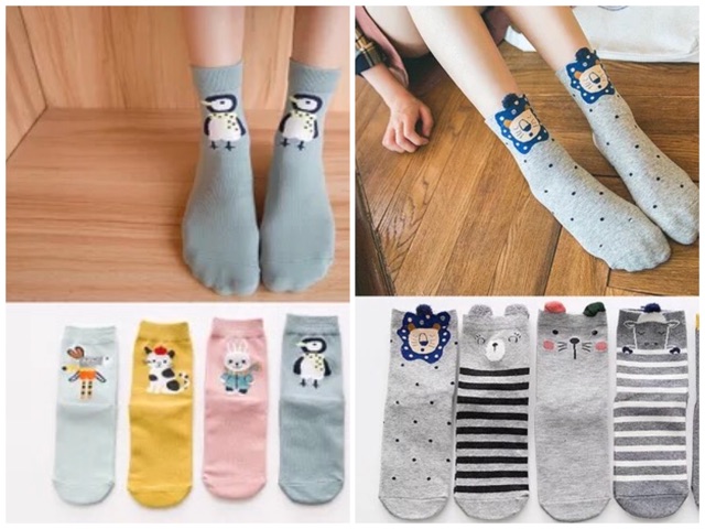 Set 5 đôi tất người lớn dày dặn cực kì kute