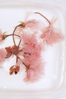 Hoa Anh Đào Muối 100G