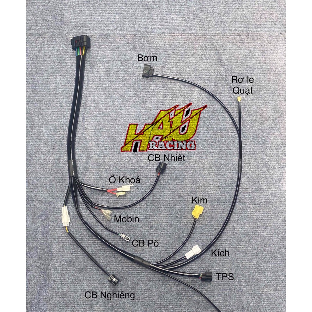 BỘ DÂY ĐIỆN LÊN FI CHO EXCITR135  SỬ DỤNG DỤNG ECU EXCITER150-HAURACINGSHOP