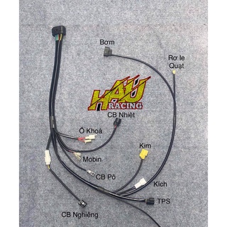 BỘ DÂY ĐIỆN LÊN FI CHO EXCITR135 (SỬ DỤNG LẠI DÂY ĐIỆN SƯỜNG ZIN ) SỬ DỤNG DỤNG ECU EXCITER150-HAURACINGSHOP