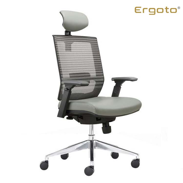 Ghế Văn Phòng Công Thái Học Ergonomic Ergoto X04H-AL