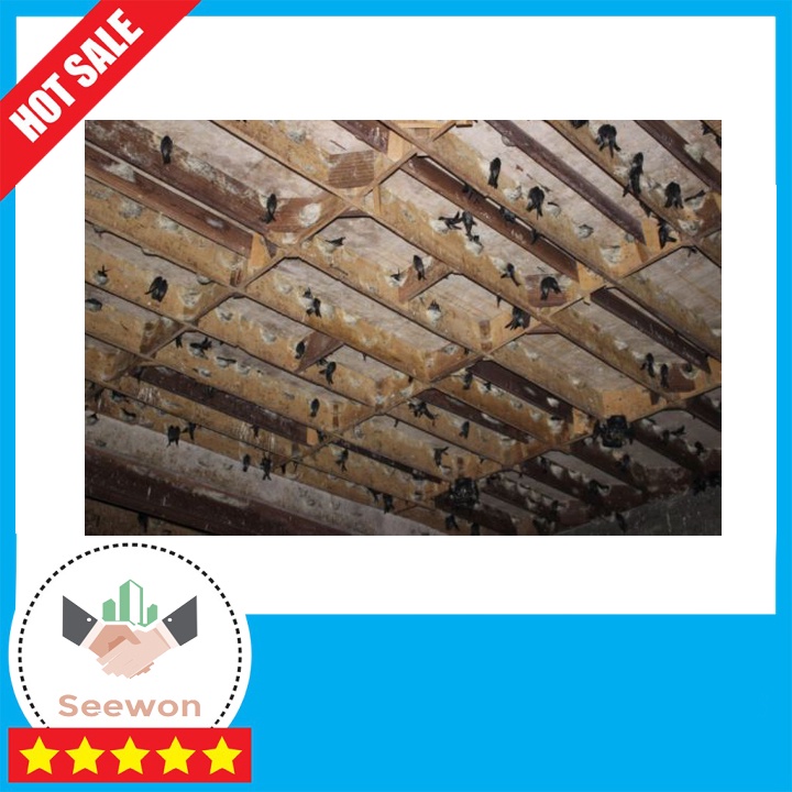 - Tăng hiệu quả làm tổ của chim yến bằng tổ yến giả