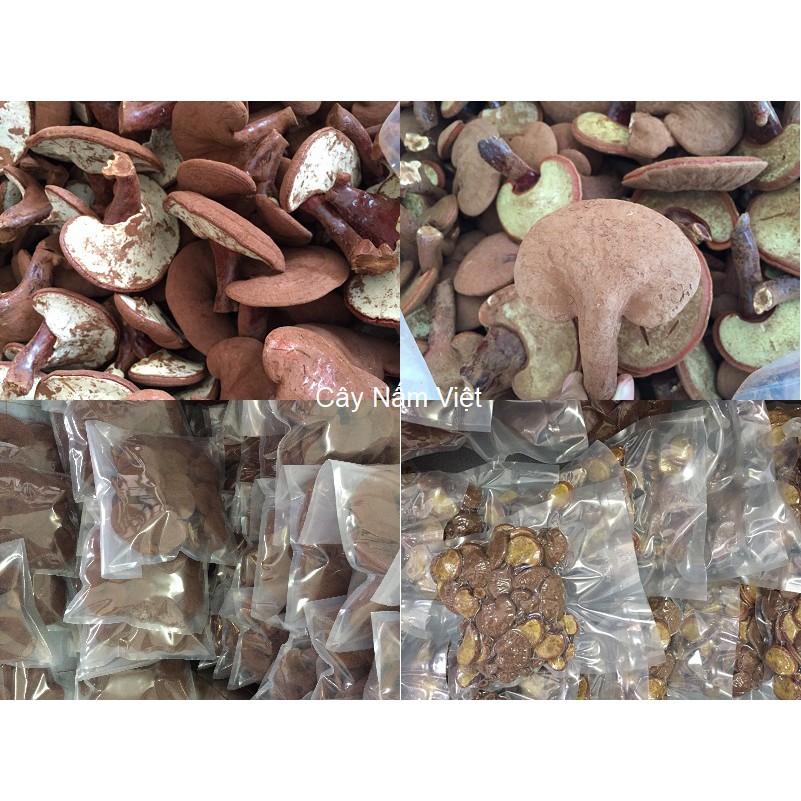 Nấm linh chi đỏ Việt Nam 500g (Nguyên bào tử) - Cây Nấm Việt | BigBuy360 - bigbuy360.vn