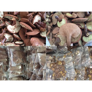 Nấm Linh Chi Đỏ Việt Nam