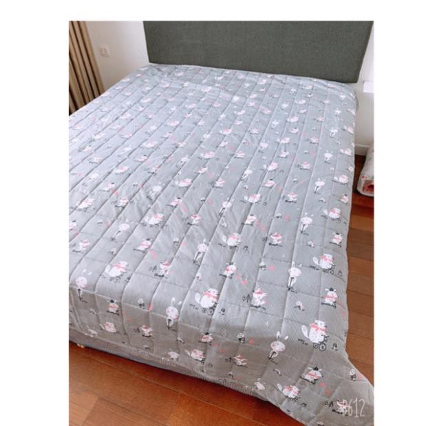Ruột chăn hè Muji
