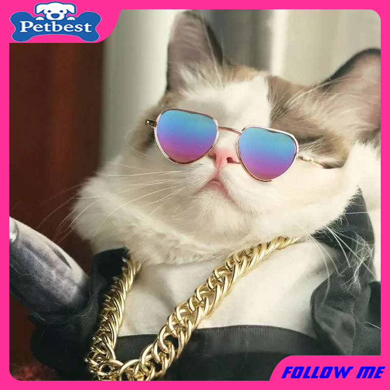 Kính Mát Phân Cực Ngộ Nghĩnh Độc Đáo Dành Cho Thú Cưng