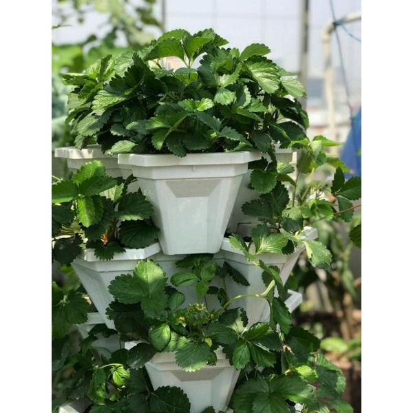 Chậu nhựa tam giác xếp tầng