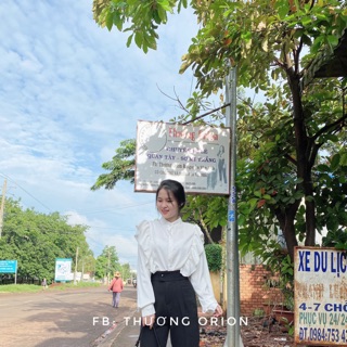 ÁO kiểu 24