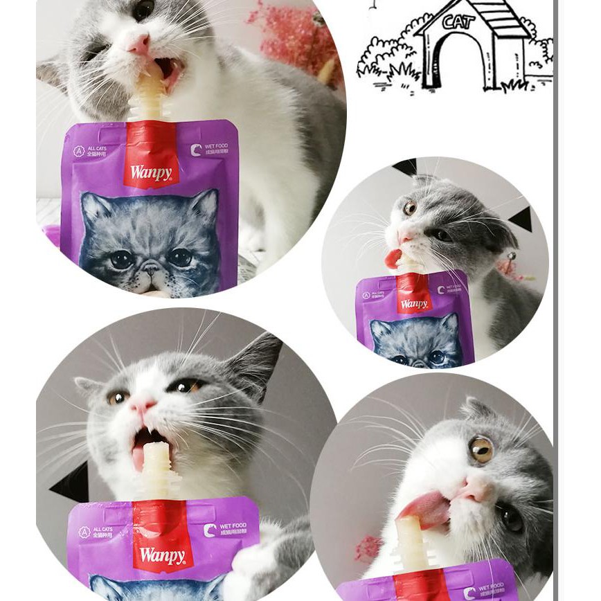 Súp Thưởng Wanpy Tuýp 90GR Đủ 4 Vị Thơm Ngon Cho Mèo