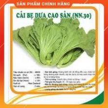 HẠT GIỐNG CẢI BẸ DƯA CAO SẢN