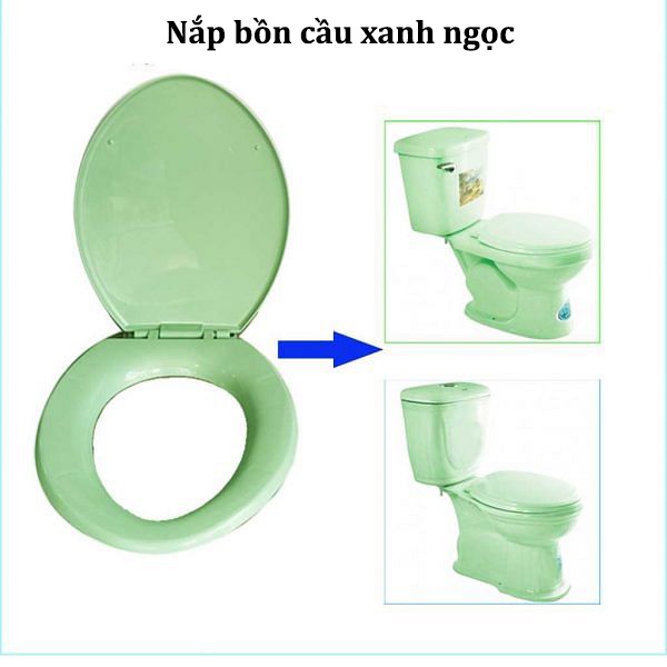 Nắp bồn cầu màu xanh ngọc, xanh biển loại thông dụng