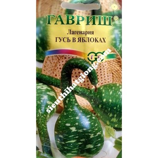 Hạt Giống Hồ Lô Thiên Nga (5 hạt)