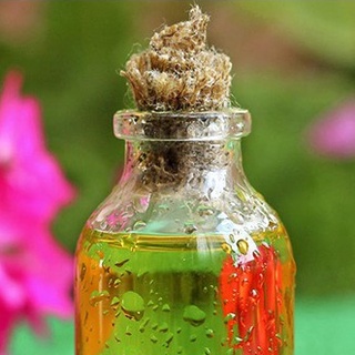 Tinh Dầu Phong Lữ Hữu Cơ ( Organic Geranium Essential Oil )