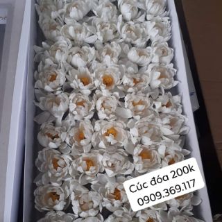 Hoa sáp thơm  (50 bông/ hộp)