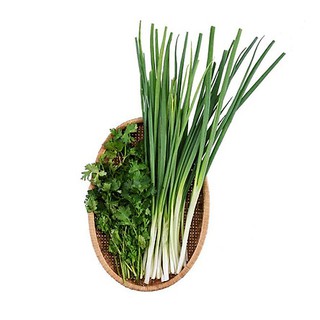 Combo Hành lá + Ngò rí
