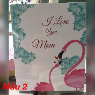 ALBUM 200 ảnh 15x21