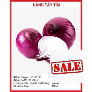 Gói 200 hạt giống hành tây tím sale