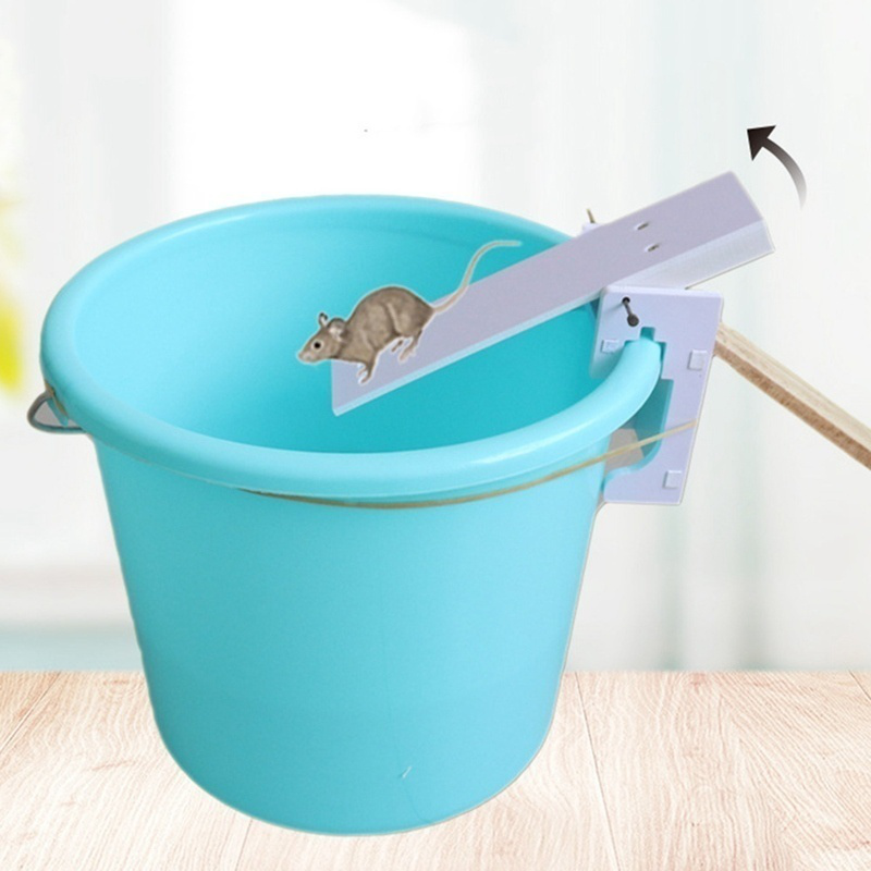 Bẫy Chuột Tự Lắp Ráp Chuyên Dụng Và Tiện Dụng | BigBuy360 - bigbuy360.vn