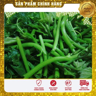 Hạt giống Bí Siêu Ngọn 20gram [Bán Sỉ]