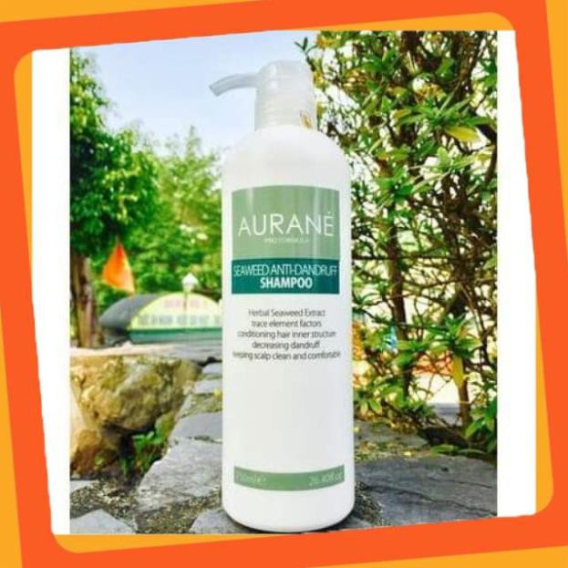 Dầu gội trị gàu aurane 750ml