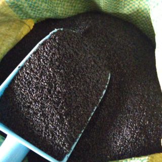 GIÁ SỈ BAO HẠT É{ 10 KG}