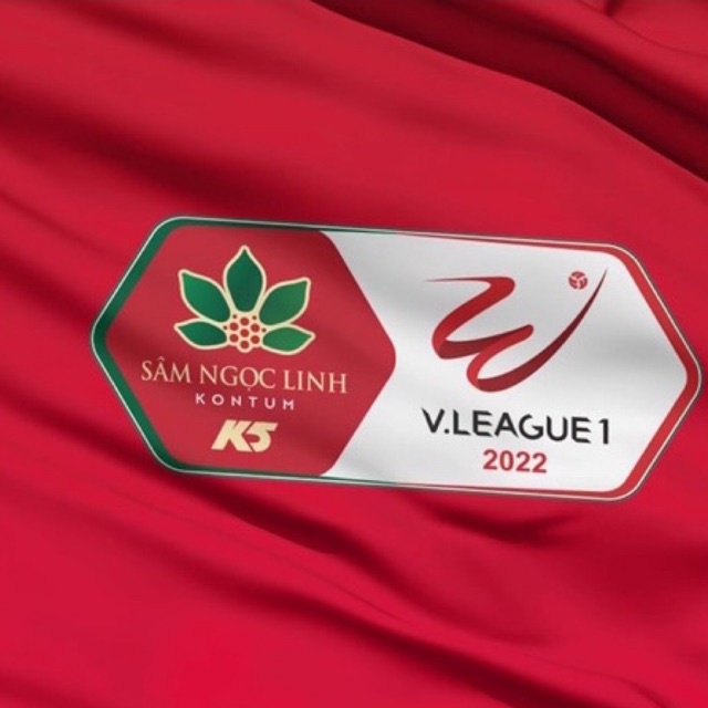 Logo Vleague 2021 tự in tại nhà