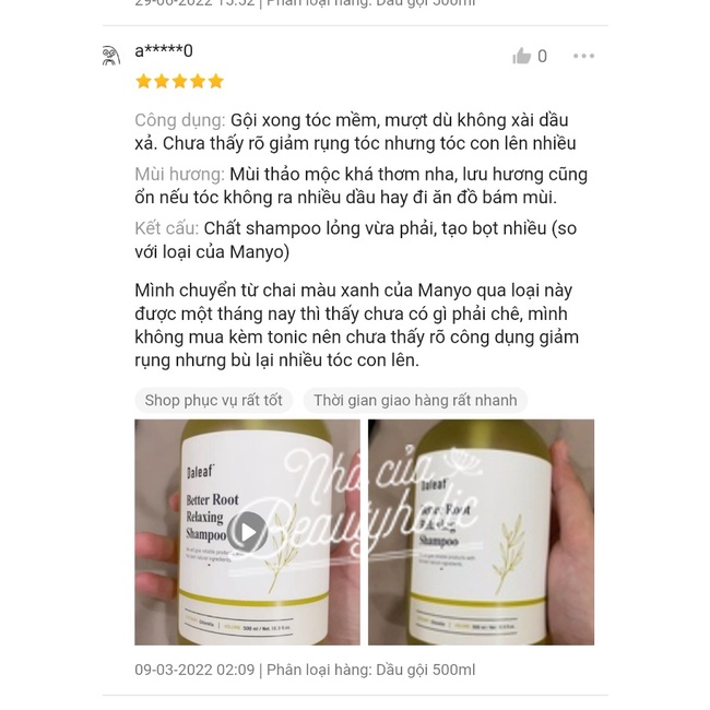 Set dầu gội đầu thuần chay DALEAF BETTER ROOT SHAMPOO DUO SET