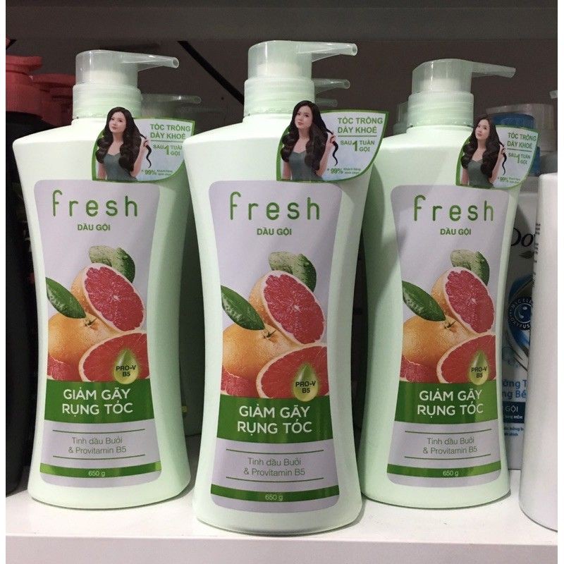 Dầu gội Fresh