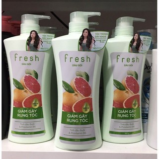 Dầu gội Fresh