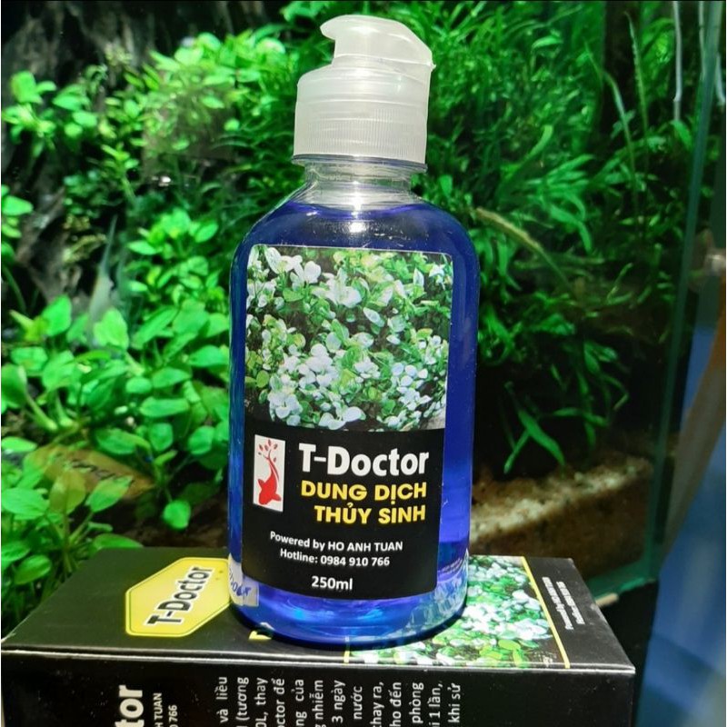 Dung dịch thủy sinh T Doctor - phòng và trị rửa thân ở cây ráy, bucep phân nước