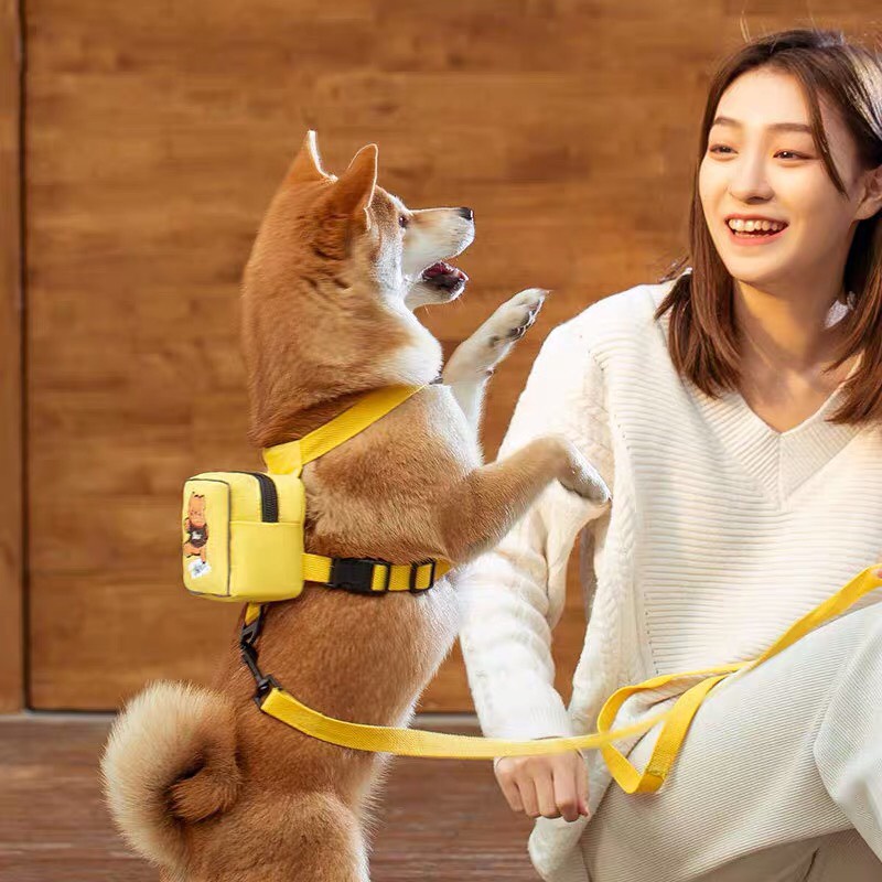 Dây dắt vòng cổ kèm balo cho chó mèo mẫu mới 2022 - 4pets official