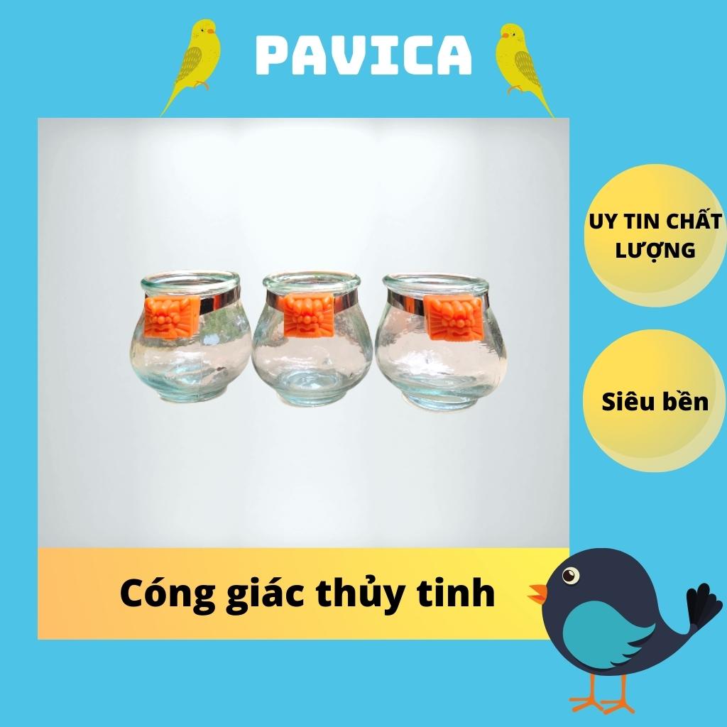 Cóng giác thủy tinh PAVICA cao cấp siêu dày 1 hộp 12 chiếc