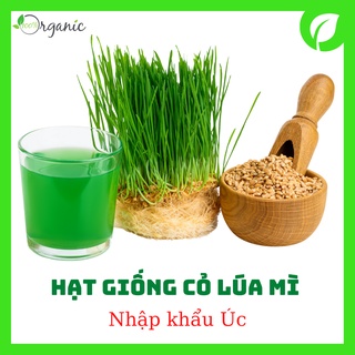 Hạt giống cỏ lúa mì, lúa mạch, cỏ mèo, nhập khẩu Úc Khaiminheco 100g